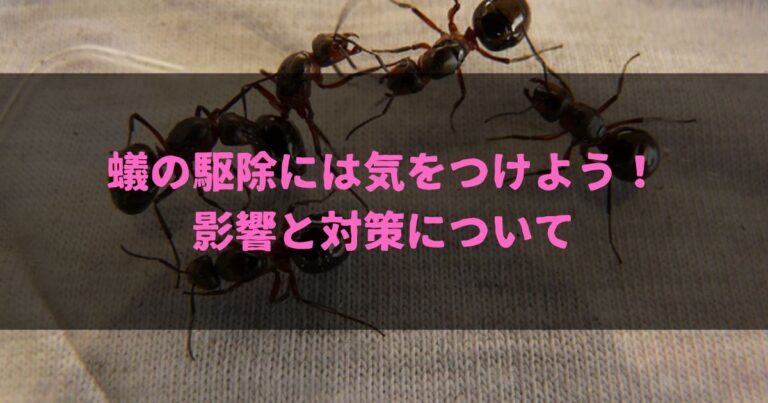 蟻の駆除には気をつけよう！影響と対策について