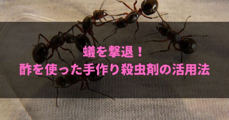 蟻を撃退！酢を使った手作り殺虫剤の活用法