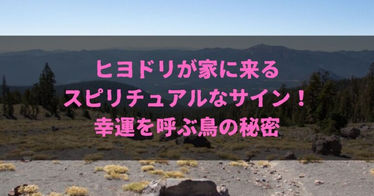 ヒヨドリが家に来るスピリチュアルなサイン！幸運を呼ぶ鳥の秘密